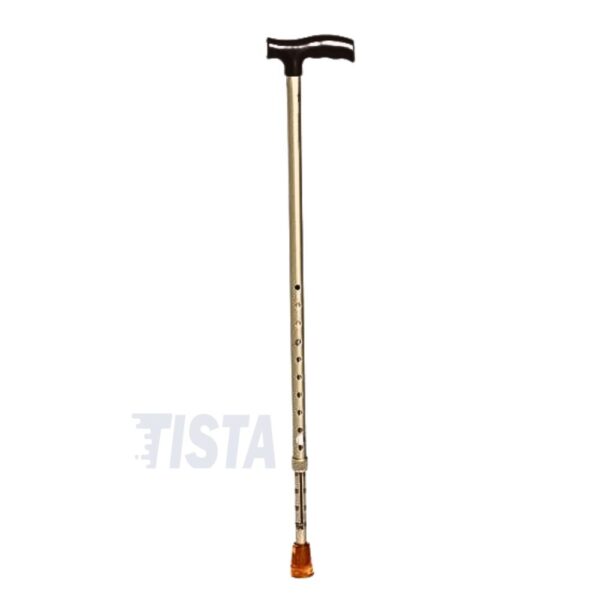 Walking Stick for Balance Product