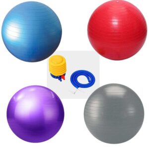 Gym Ball Product Variation