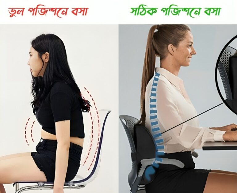 Back Support Pillow