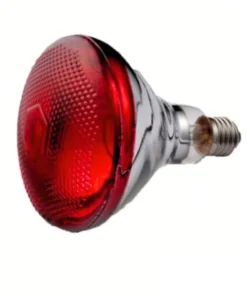 Philips Infrared Red Bulb Main Product Price in BD