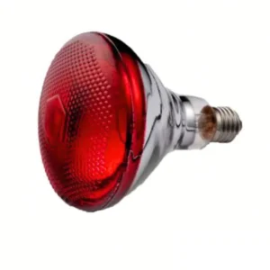 Philips Infrared Red Bulb Main Product Price in BD